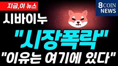 시바이누 긴급 시장폭락 이유는 여기에 있다 Youtube