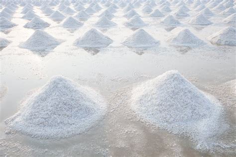 Heap Of Sea Salt In Original Salt Produce Farm Make From Natural Stock