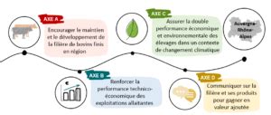 Plan De Fili Re R Gional Bovin Viande Auvergne Rh Ne Alpes Elevage