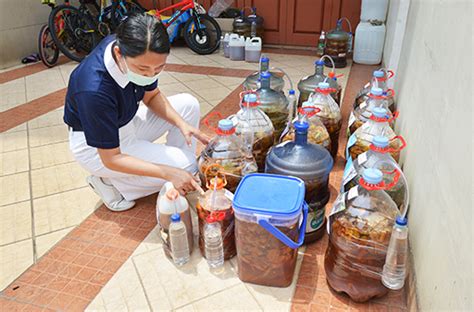 Solusi Mudah Membuat Eco Enzyme Yayasan Buddha Tzu Chi Indonesia