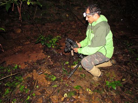 Agumbe – Rainforest – Kedar Bhide