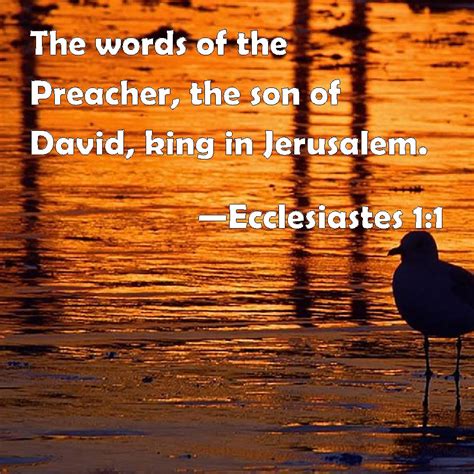 Ecclesiastes 1 1 The Words Of The Preacher The Son Of David King In