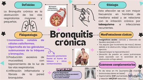 Mapa Mental De Bronquitis Cr Nica Ana Godoy Udocz