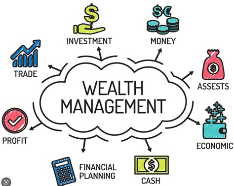 O Que Wealth Management Ou Gest O De Patrim Nio Amazonia Capital