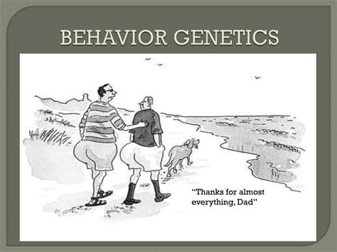 PPT - BEHAVIOR GENETICS PowerPoint Presentation, free download - ID:2365449