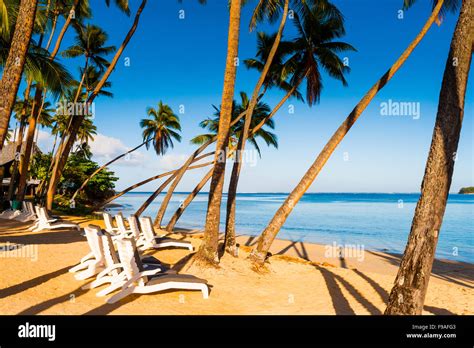 Palm Trees Sandy Beaches And Clear Water On The Island Of Fiji In The