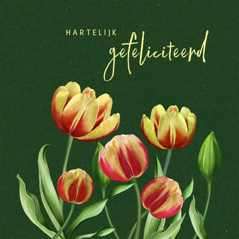 Verjaardagskaart Rood Gele Tulpen Kaartje2go