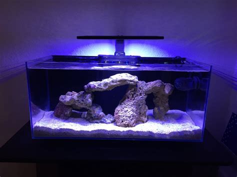 AIO Build JBJ Rimless 10 Gallon Reef2Reef