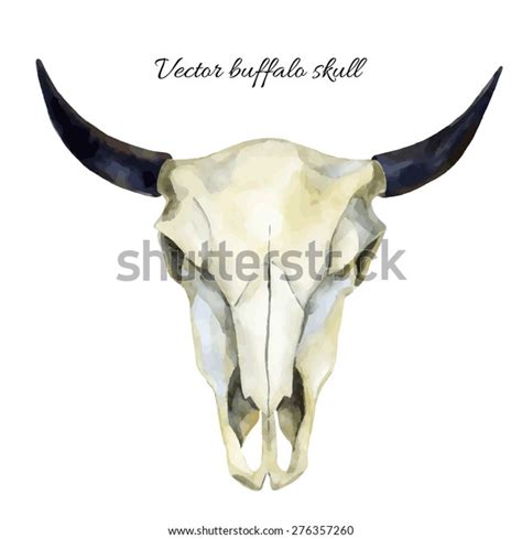 Watercolor Buffalo Skull Hand Painted Vector Stock Vector (Royalty Free ...