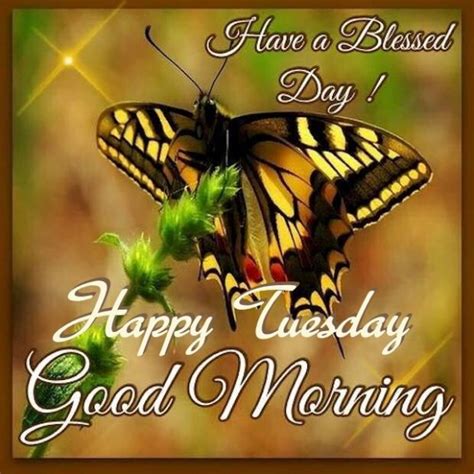 Have A Blessed Day Happy Tuesday Good Morning Wishes And Images