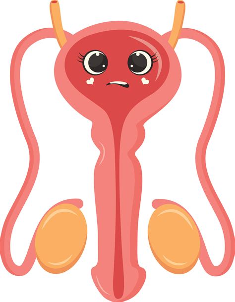 Cute Human Internal Organs Character Illustration In Cartoon Design