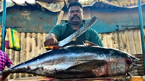 Big Yellow Fin Tuna Fish Cutting By Speed Selvam Hd Video In