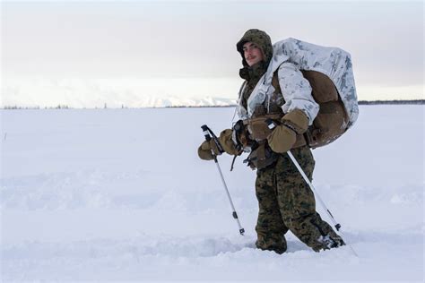 DVIDS Images 2d Reconnaissance Battalion Marines Conduct Cold