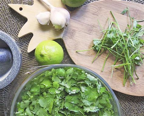 Usos Del Cilantro En La Cocina Y Qué Beneficios Tiene Para Tu Salud