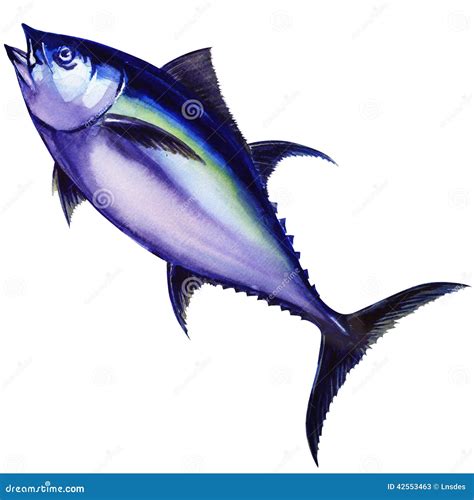 Tunny Fish. Watercolor Painting Royalty-Free Stock Photography | CartoonDealer.com #42553463