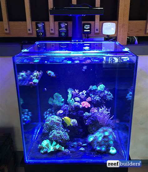 So Many Tanks So Many Possibilities Reef Builders The Reef And