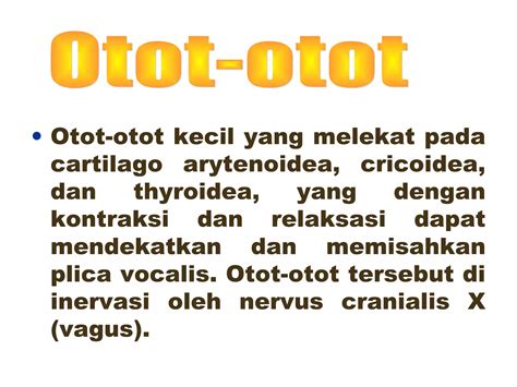 Anatomi Fisiologi Sistem Pernafasan Ppt