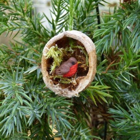 Basteln Mit Waln Ssen Zu Weihnachten Und Nicht Nur Ideen Und