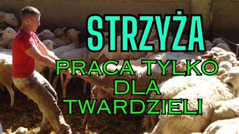 Najcięższa praca w moim życiu YouTube