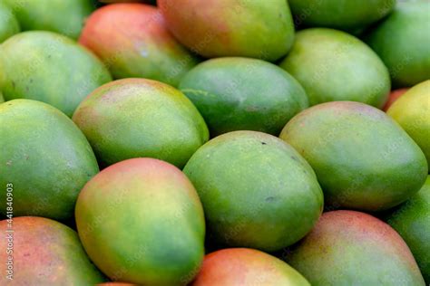 Staked Of Fresh Ripe Fruit On The Market Stall A Mango Is An Edible