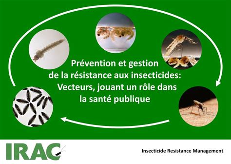 Ppt Insecticide Resistance Management Powerpoint Presentation Free