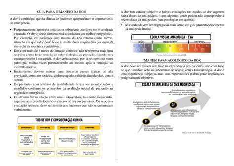 Manejo da Dor GUIA PARA O MANEJO DA DOR A dor é a principal queixa