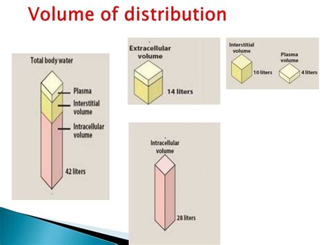 Ppt Pharmacokinetics Ii Bioavailability And Distribution Overview