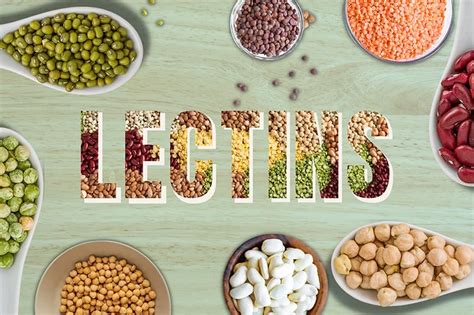 Navigating Lectin Sensitivity 10 Foods To Limit Or Eliminate From Your Diet Arhealth