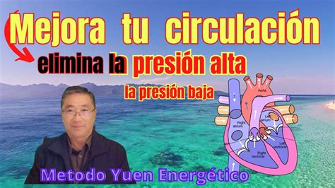 Metodo Yuen Fortalecimiento Para La Circulación La Presión Alta Y La