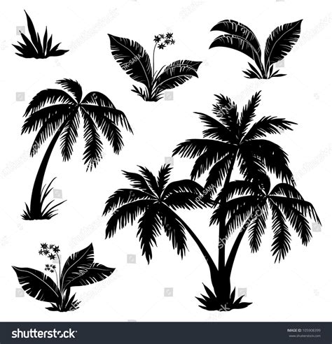 Palm Trees Flowers Grass Black Silhouettes Stock Vector Royalty Free 105908399 Shutterstock