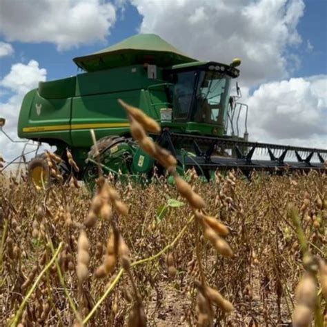 PIB volta a crescer e avança 1 9 no 1º trimestre puxado pelo agro