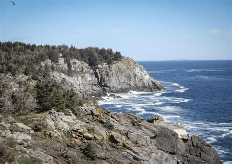 Ultimate Guide To Visiting Monhegan Island Things To Do See