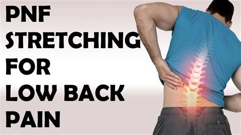 Pnf Stretching For Lower Back Pain Relief Upper Back Pain And Low Back