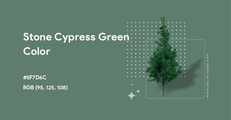 Stone Cypress Green color hex code is #5F7D6C