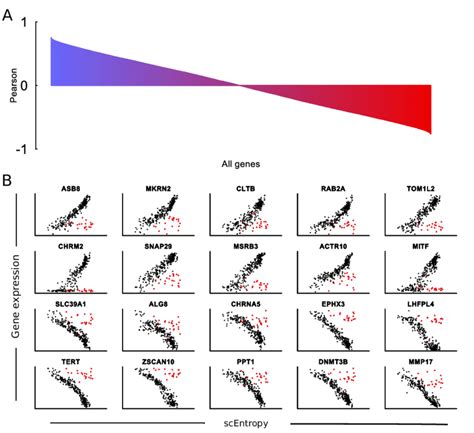 Pearson Correlation Between Gene Expression And Scentropy A Pearson