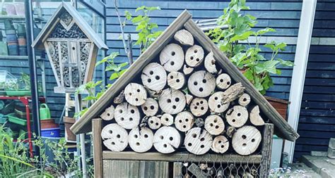 Diy Zelf Een Insectenhotel Maken Mijn Moestuin Mijn Passie