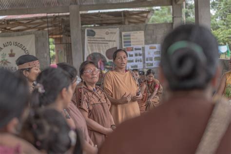 Chirapaq Centro De Culturas Ind Genas Del Per Transformative Pathways