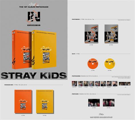 Stray Kids In Life 生 Kpop Albumsboysband Mkpop