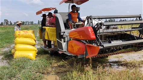 Amazing Kubota Rice Harvester Machine In Deep Water L