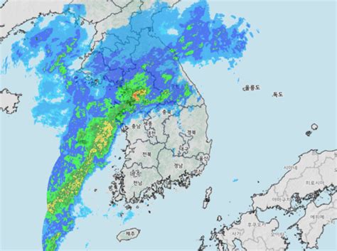 기상청 속보 서울 시간당3cm폭설 대설특보 강원날씨 많은눈