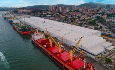 Novo Terminal Em Santos Pode Escoar Milh Es De Toneladas De Celulose