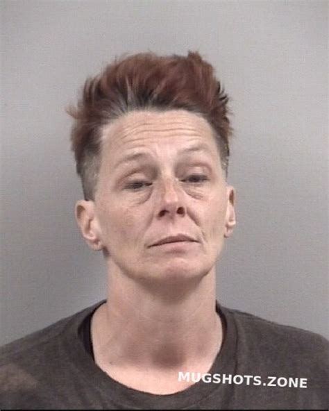 Lisa Suzette Stevens Johnston County Mugshots Zone