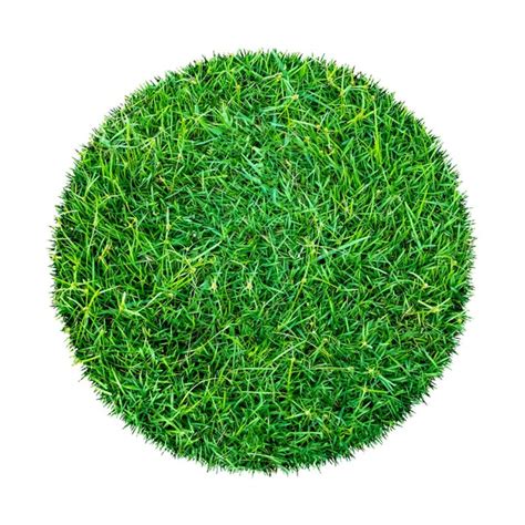 Abstract Green Grass Texture Background Circle Green Grass Pattern