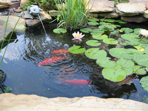 Large Pond Fountains | Fountain Design Ideas