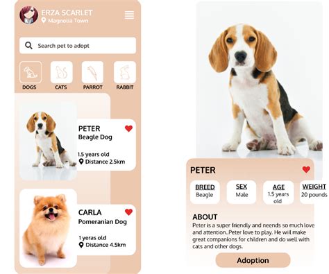 Pet Adoption Ui App Figma