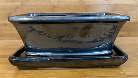 7 Inch Black Chrome Rectangle Bonsai Pot With Tray Greenwood Bonsai