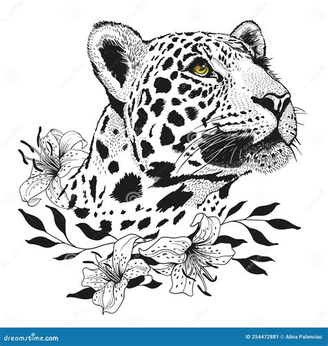 Leopard Pencil Drawing Of Panthera Pardus Head Cartoon Vector