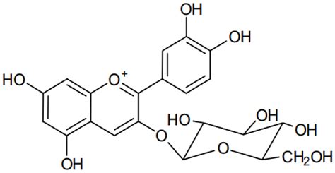 Nanoencapsulation Of Cyanidin O Glucoside Encyclopedia Mdpi