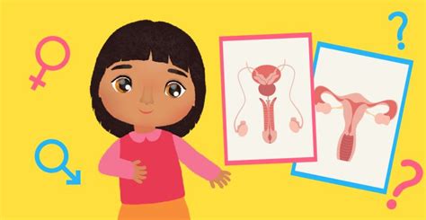 Sex Education In Islam