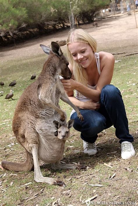 Adelaide - Koalas stop at Gorge Wildlife Park (Australia)